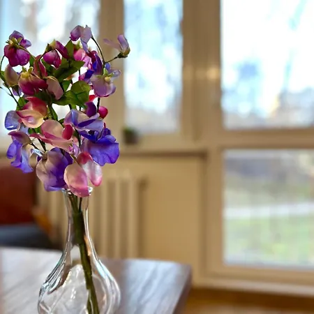 Lägenhet Mmrent Przytulny W Sopocie Sopot