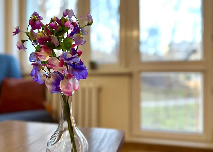 Lejlighed Mmrent Przytulny W Sopocie Sopot