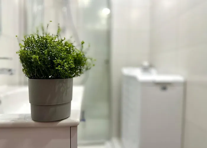 Mmrent Przytulny W Sopocie Lejlighed