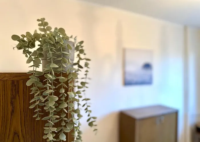 Mmrent Przytulny W Sopocie * Sopot